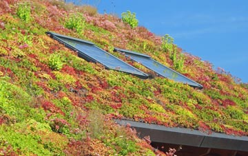 Tothill living roof systems