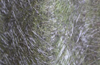 Tothill fibreglass roof work